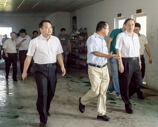 安徽省委副书记、省长王学军莅临安徽betway西汉姆联视察