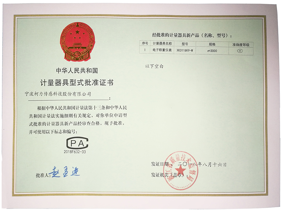 电子称重仪表：XK3118K9-W